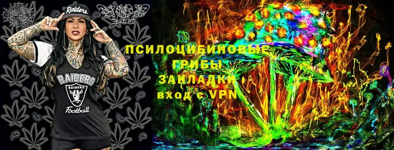 Галлюциногенные грибы Cubensis  Кимовск 